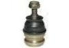 Ball Joint:54530-02000 LOWER ATOZ